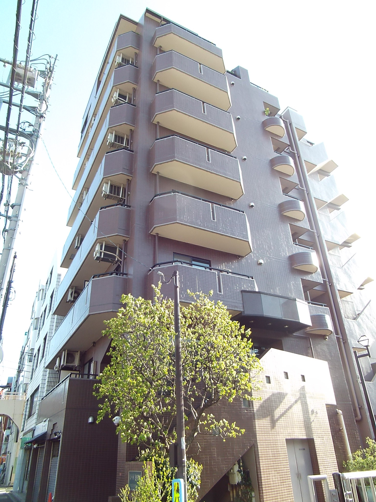 写真1