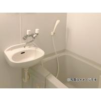 写真5