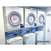 写真6
