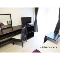 浜松町/芝公園羅浮宮■ [單獨] ≪標準系列≫ 圖片