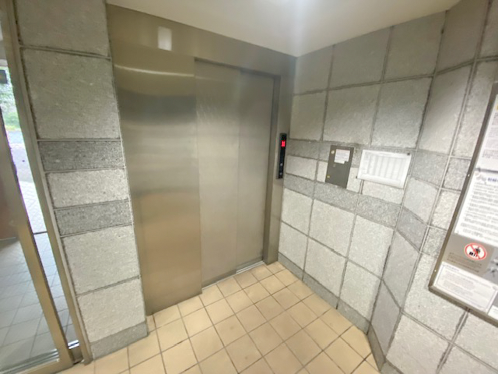 写真11