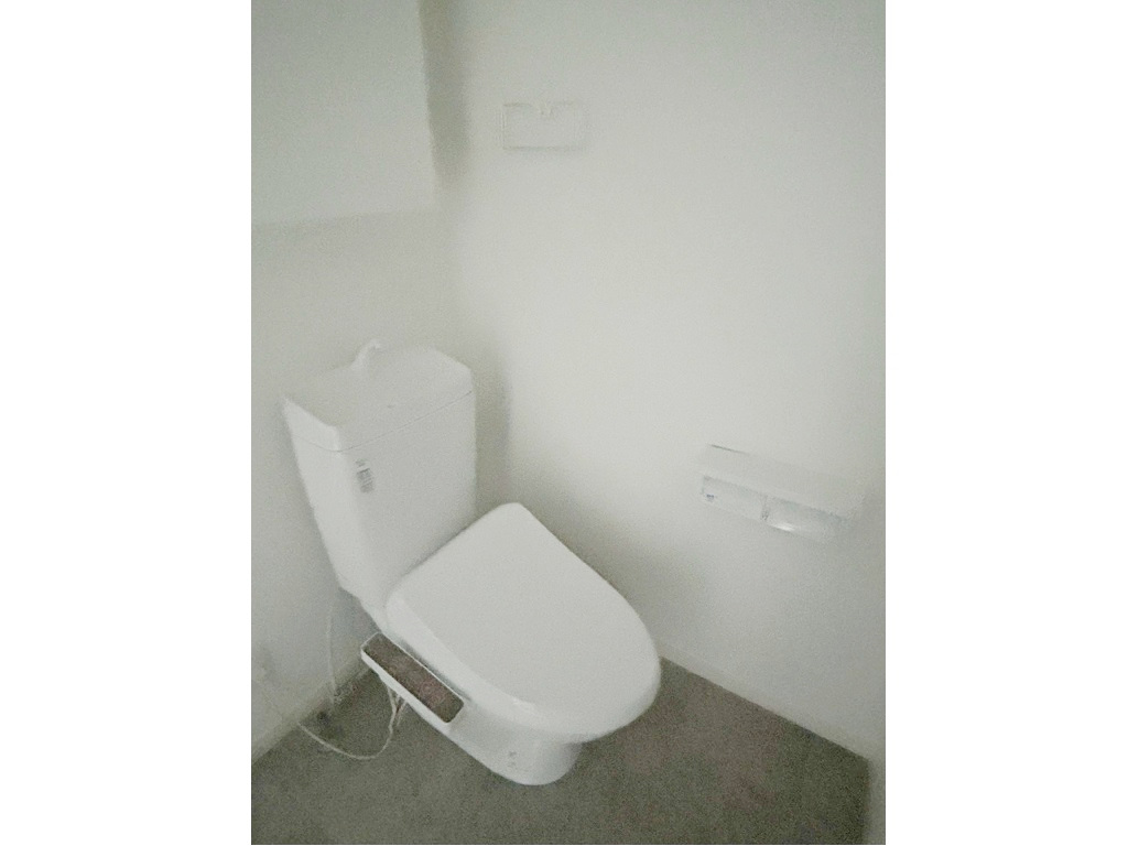 写真6