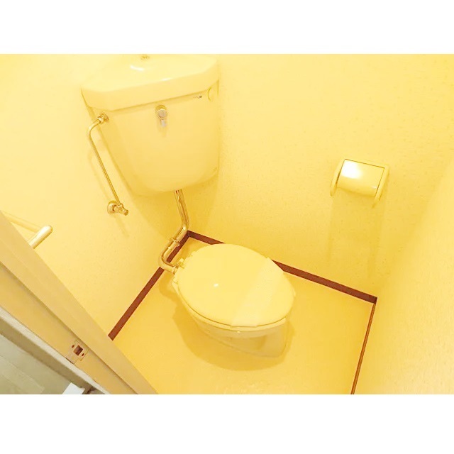 写真5
