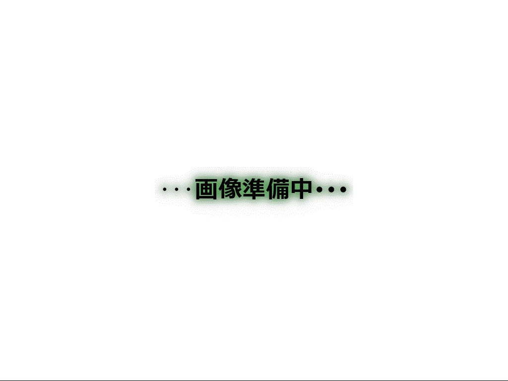 写真2