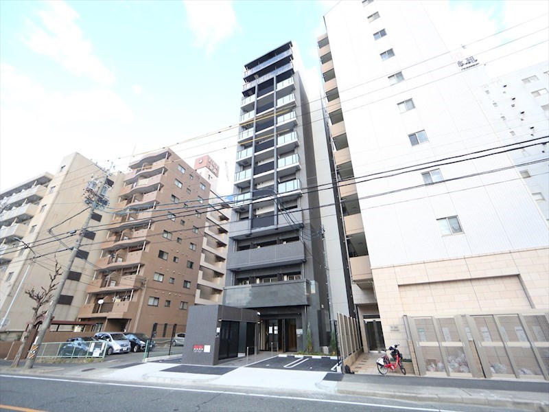 写真1