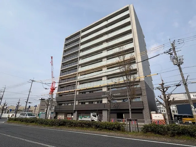 写真1