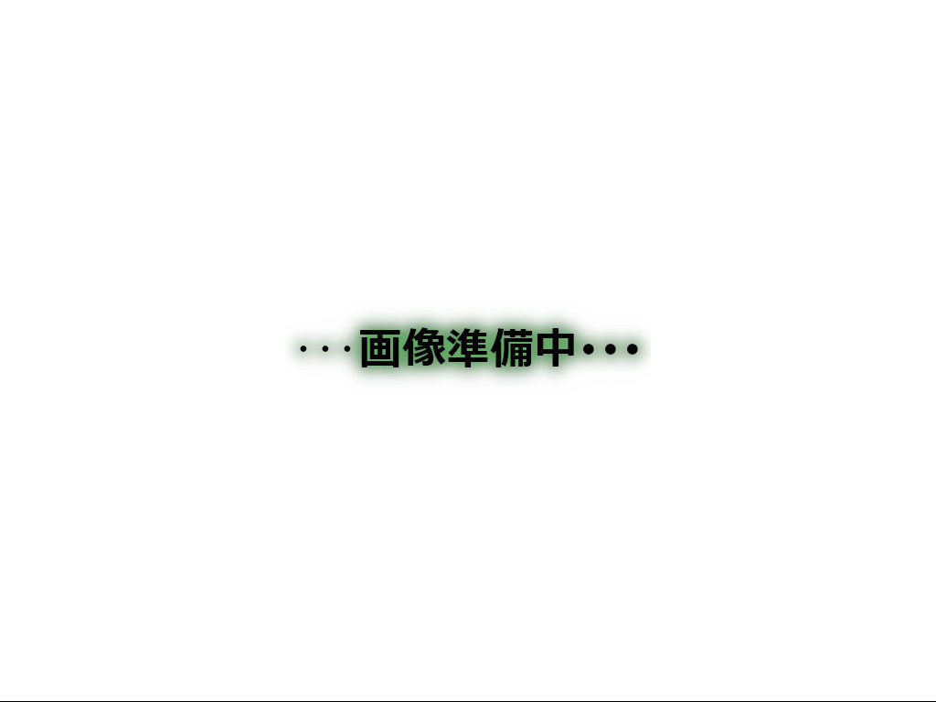 写真2