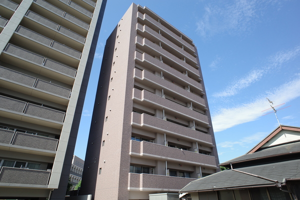 写真1