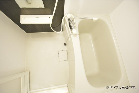 写真5