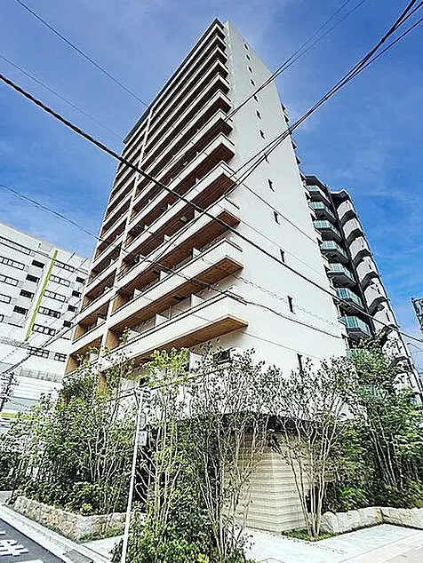 写真2