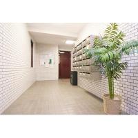 写真6