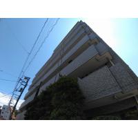 写真2