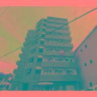 写真1