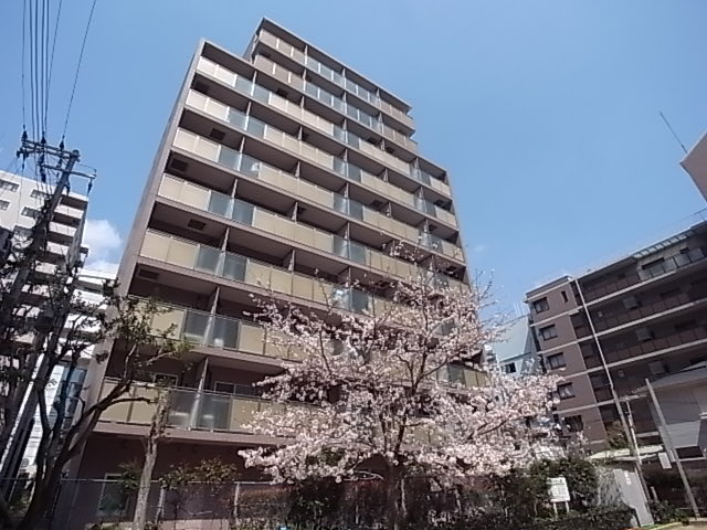 写真1