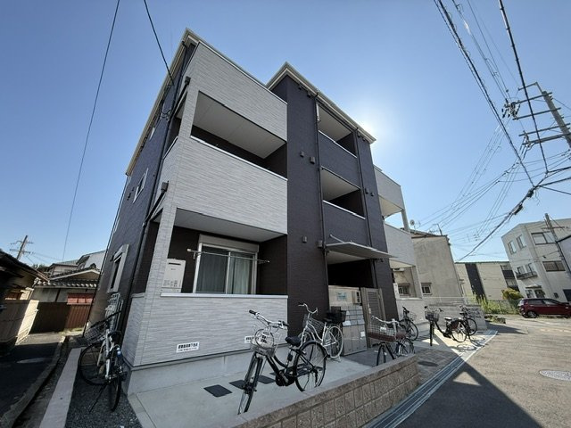 写真1