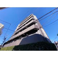 写真2