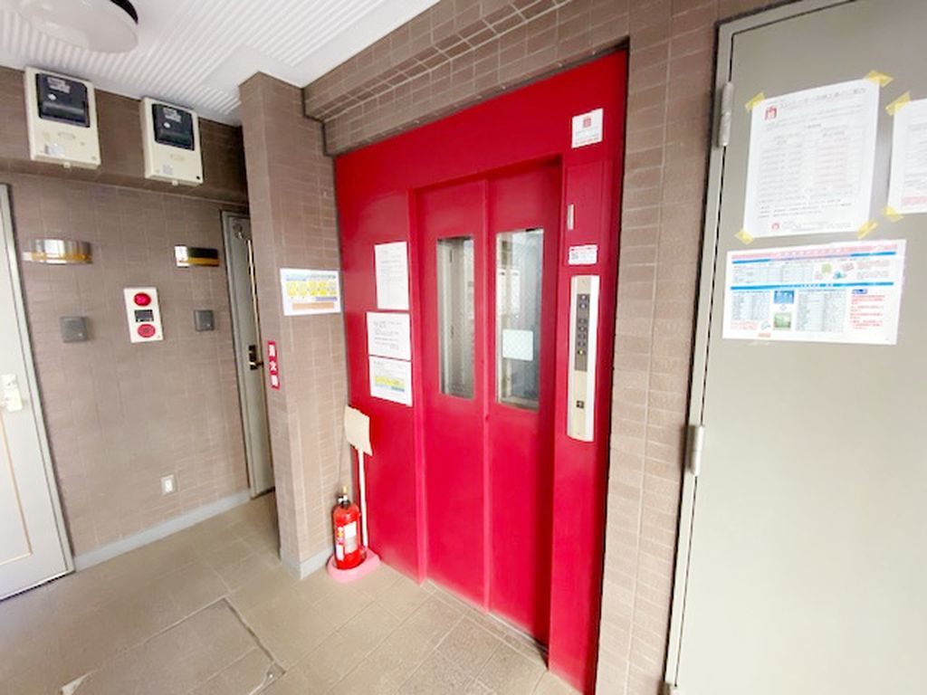 写真11