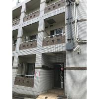 写真2