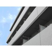 写真2