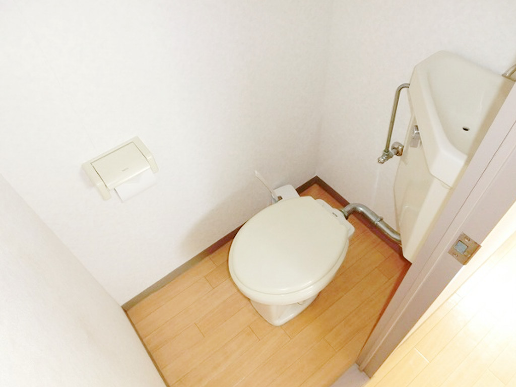 写真6