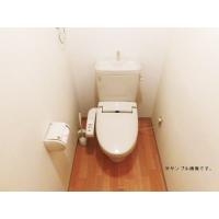 写真6