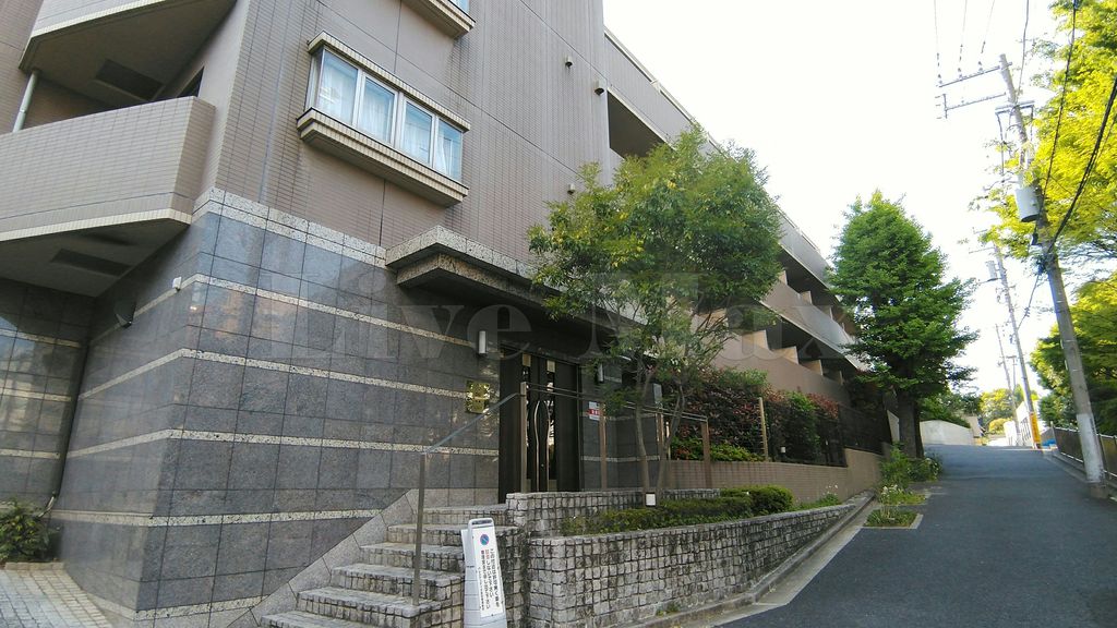 写真2