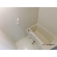 写真5