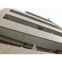 写真2