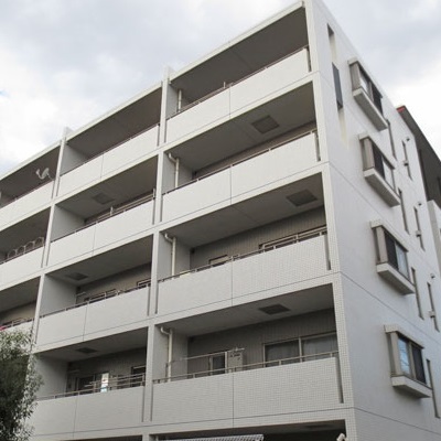 写真1