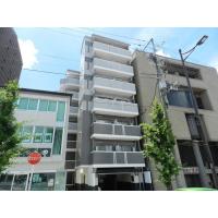 京都清水寺■【NET対応】≪スタンダードシリーズ≫の画像